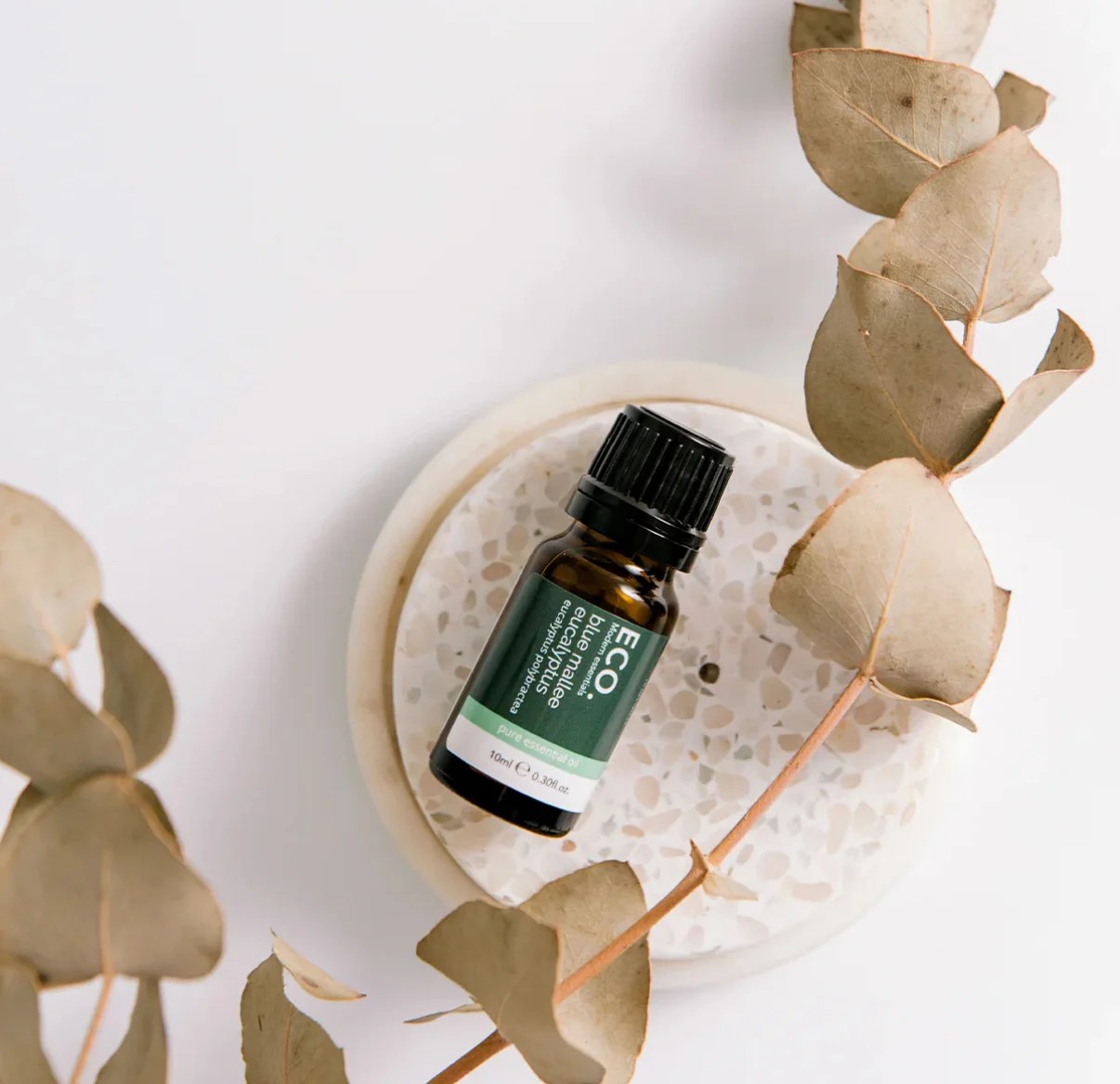 A small brown bottle of Blue Mallee Eucalyptus Pure Essential Oil – 10ml sits on a round white dish, surrounded by dried eucalyptus branches, all set against a white background.