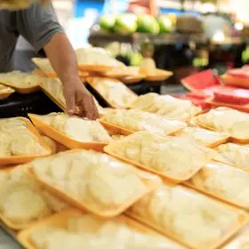 Food industry CA services India