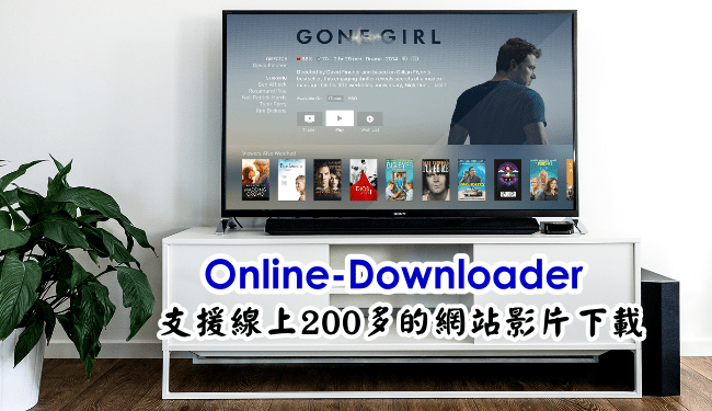 online downloader