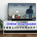 online downloader