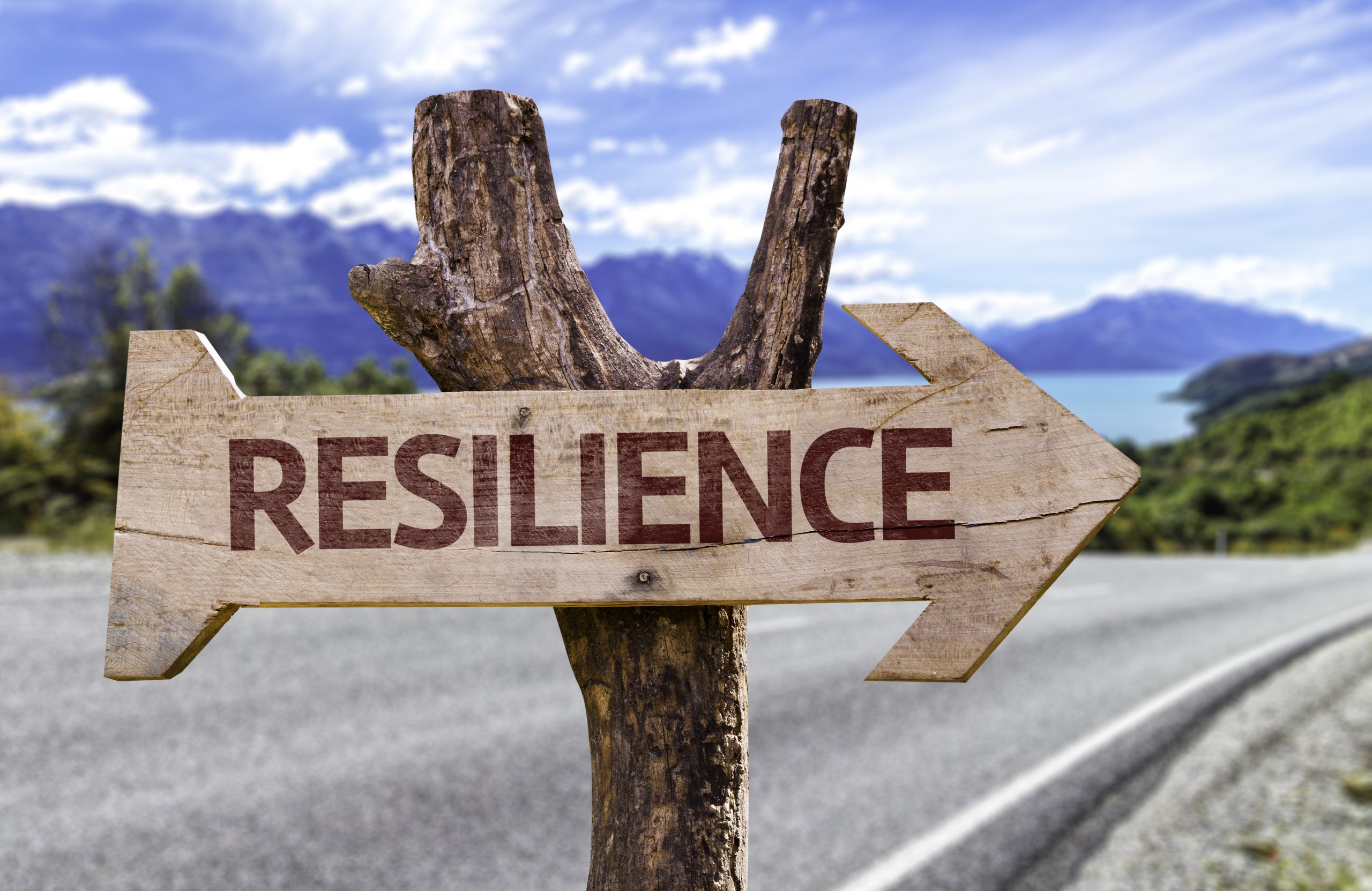 Resilience,Sign,With,A,Road,Background