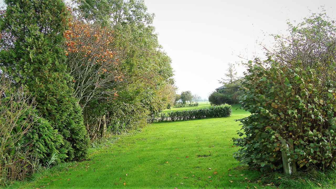 Kleine Camping De Duin — photo 8