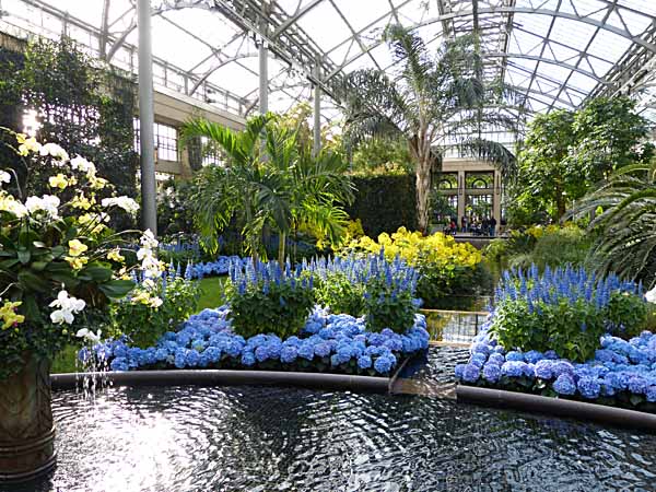 Orchid Extravaganza at Longwood Gardens - Todd's Blog