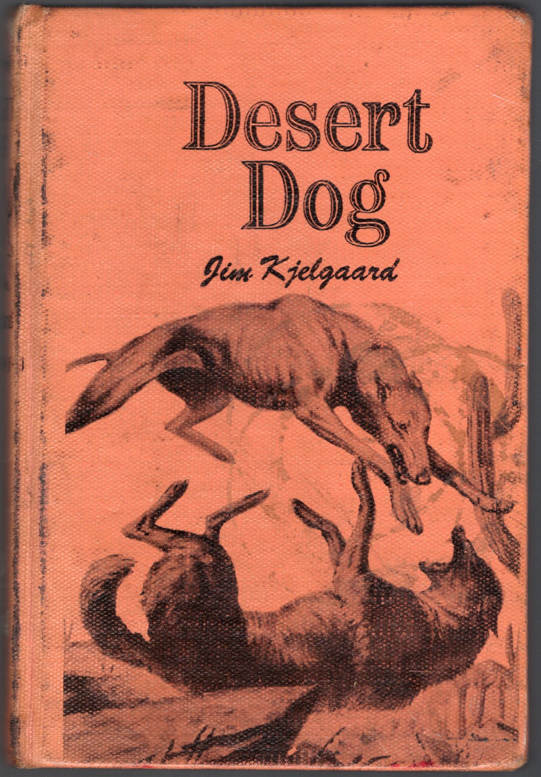 Rereading: DESERT DOG by Jim Kjelgaard - Todd's Blog
