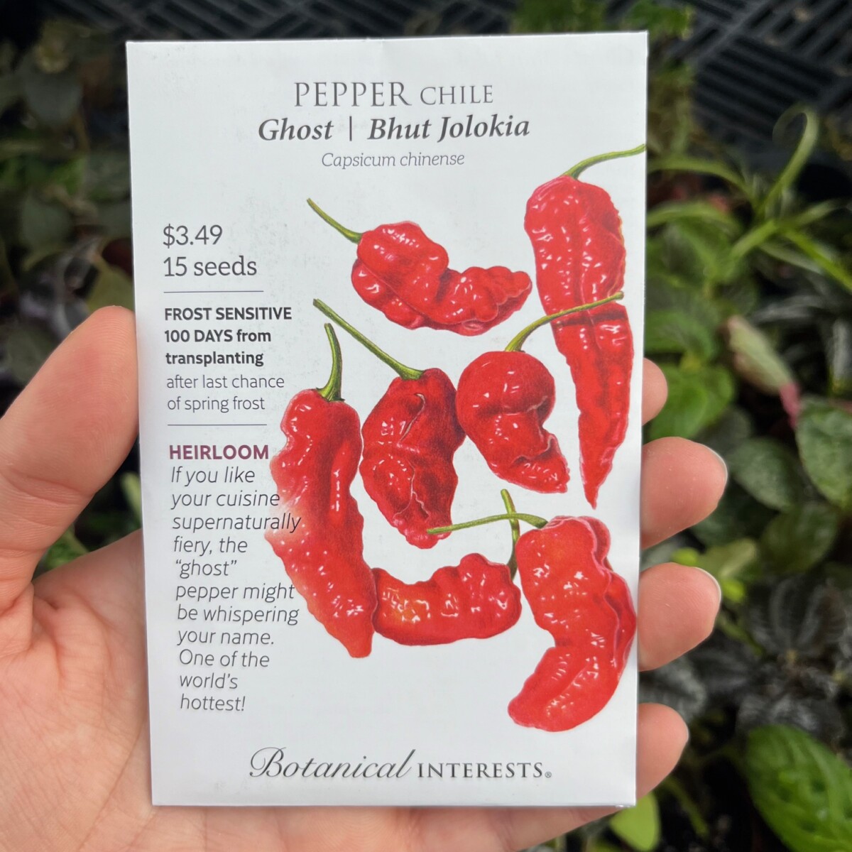 Botanical Interests Pepper Chile Ghost Bhut Jolokia - Klein&rsquo;s 