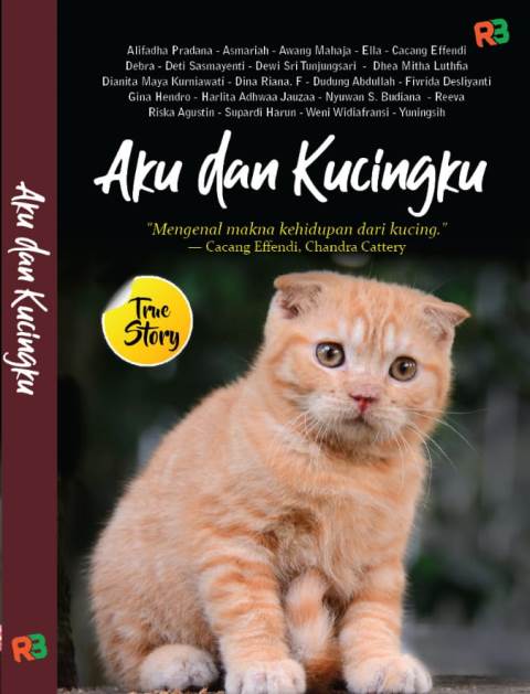 9 Tanda Bahwa Kucing Menyayagi Kita Dan Mengungkapkan Rasa Sayang Ketika kucing menjilati rambut atau telingamu itu pertanda kalau dirinya mempercayaimu dan menganggapmu sebagai teman dekatnya.