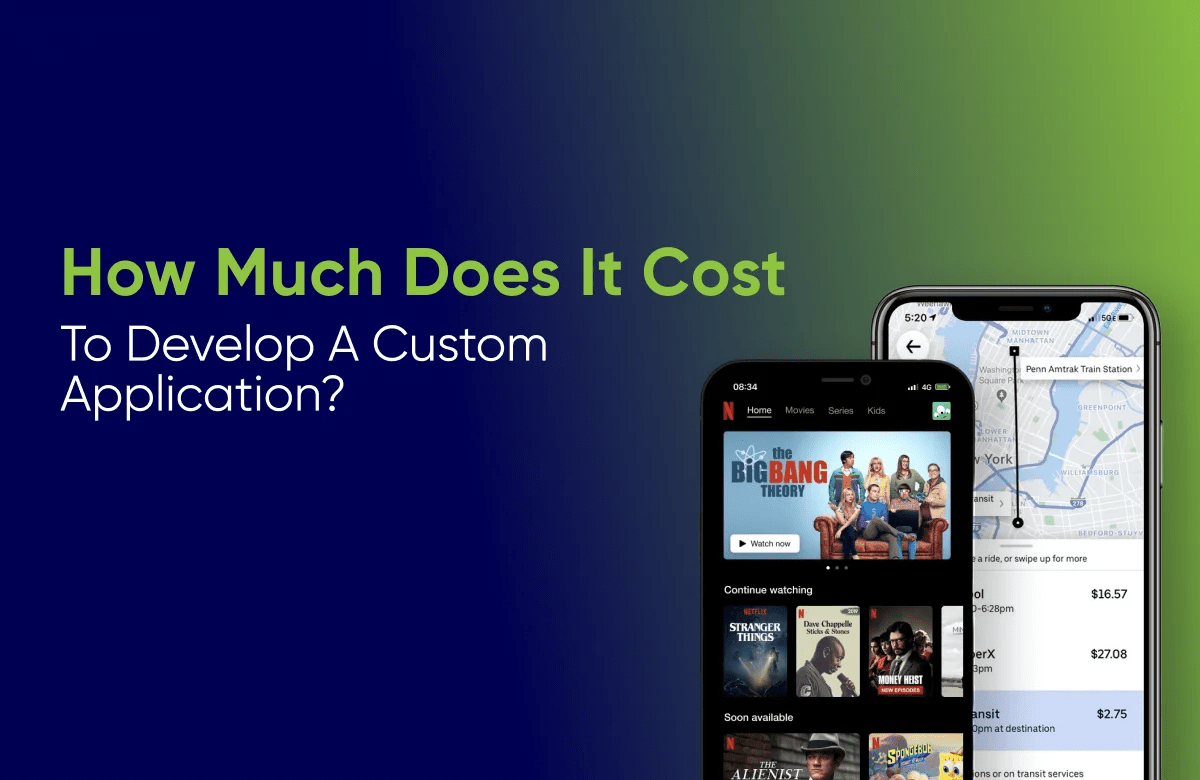How much custom application development costs