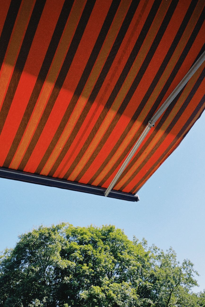 striped canopy near trees