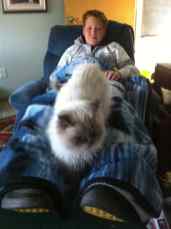 IMG_1598-2014-07-13 IMG_1598-2014-07-13