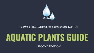 Aquatic Plants Guide Thumbnail