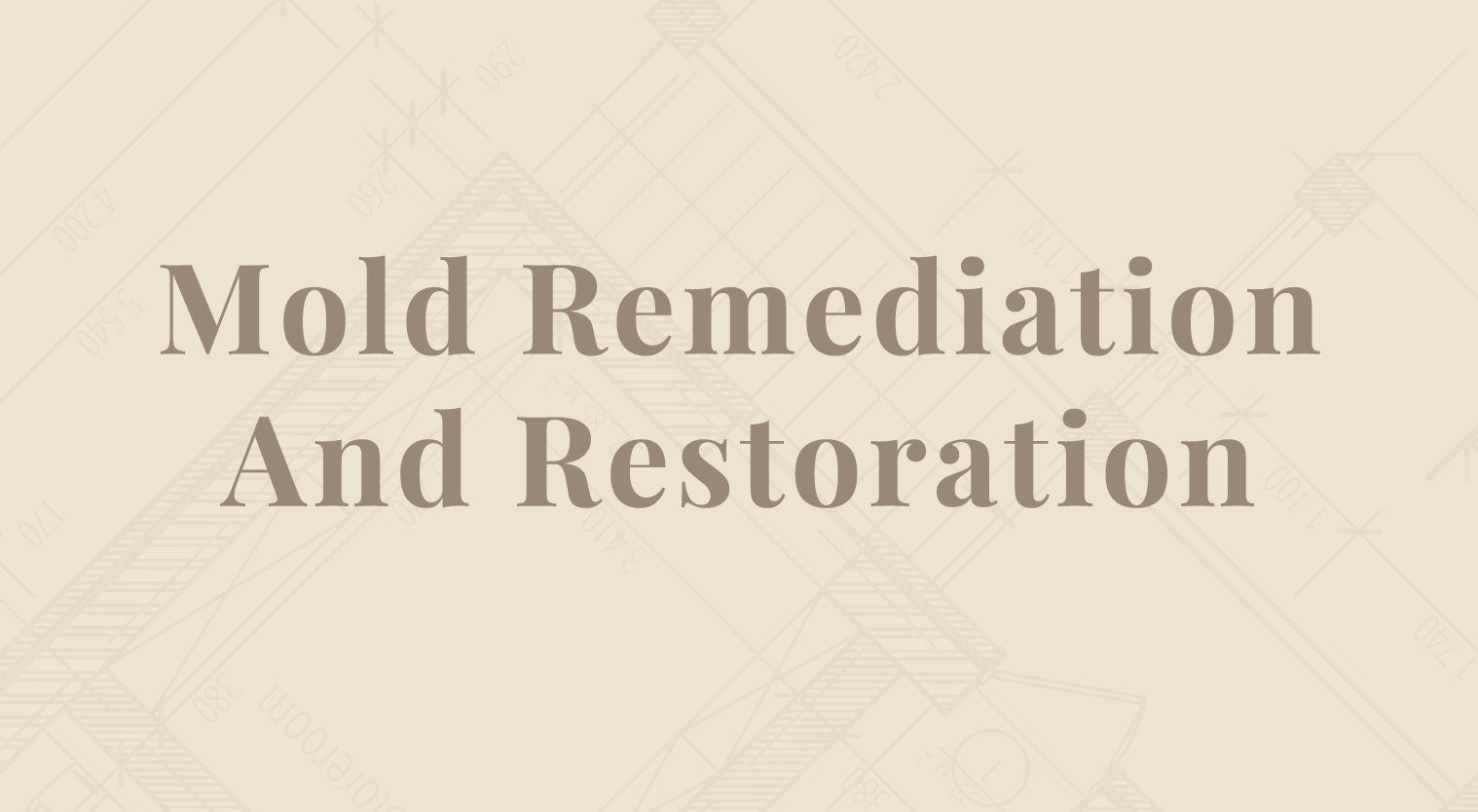 Mold Remediation and Restoration in Sarasota and Manatee County