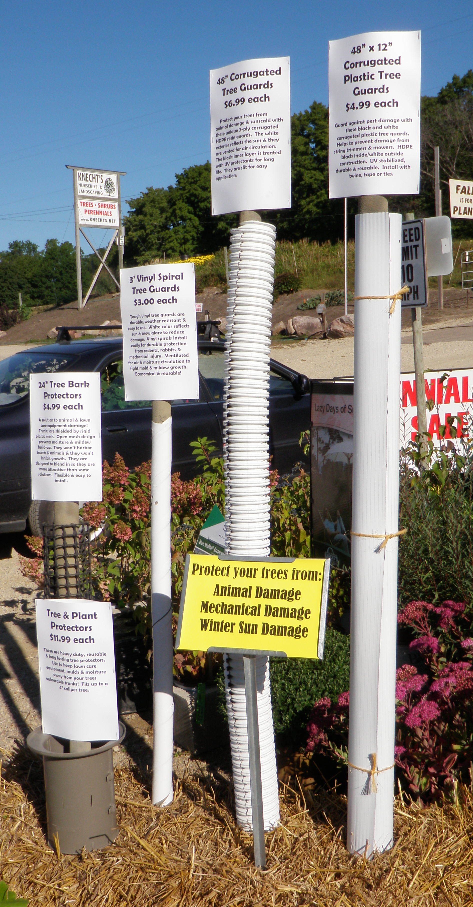 How to Fix Deer-Damaged Tree Bark: Easy Solutions!