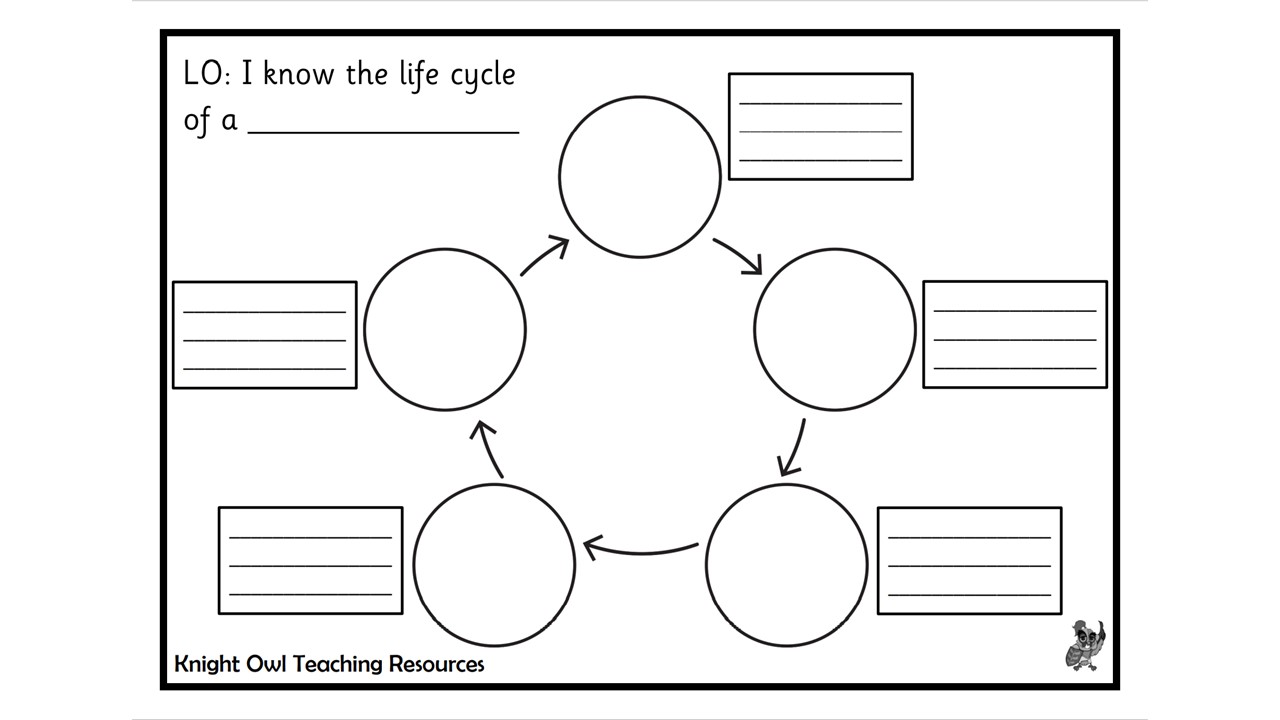 Visual representations of the water cycle. Life Cycle Templates 1