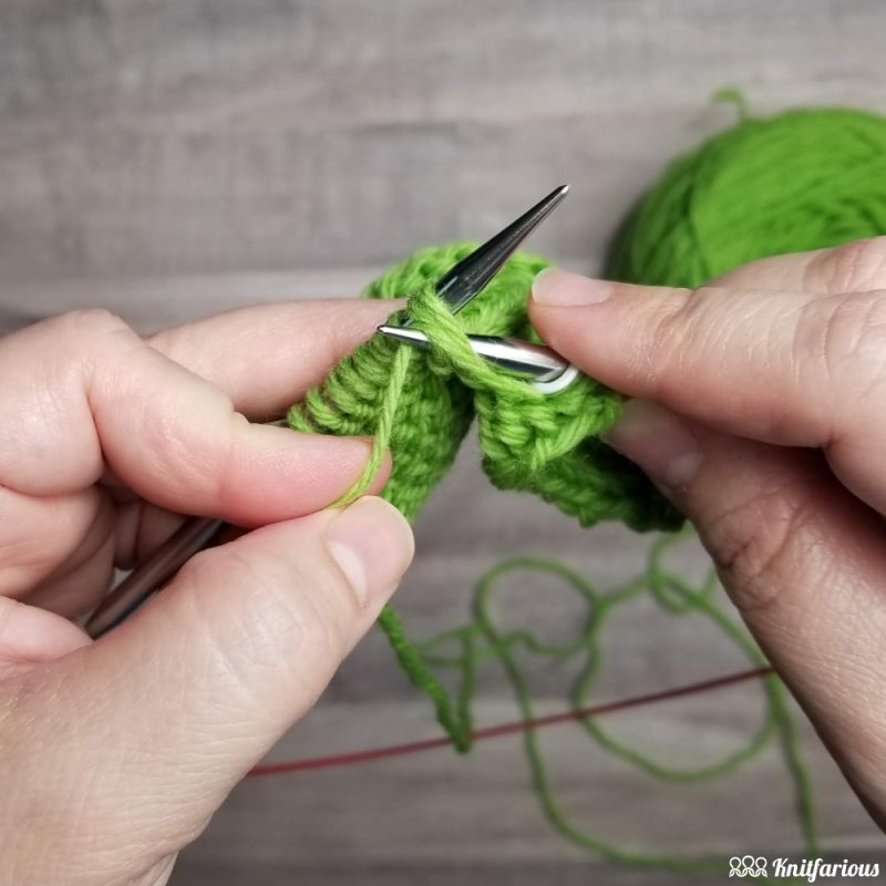 P2tog How To Purl Two Together Knitting Decrease Slow Motion - Nature Pictures - Artistic Retina Collection