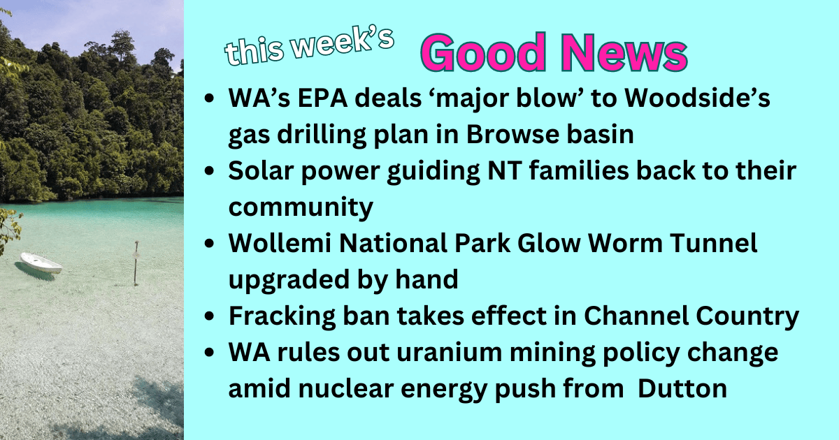 Good News 9 August 2024