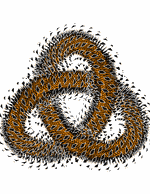 Knotplot Moir Pictures Picture Prefixes - Best Light Backgrounds in Ultra HD