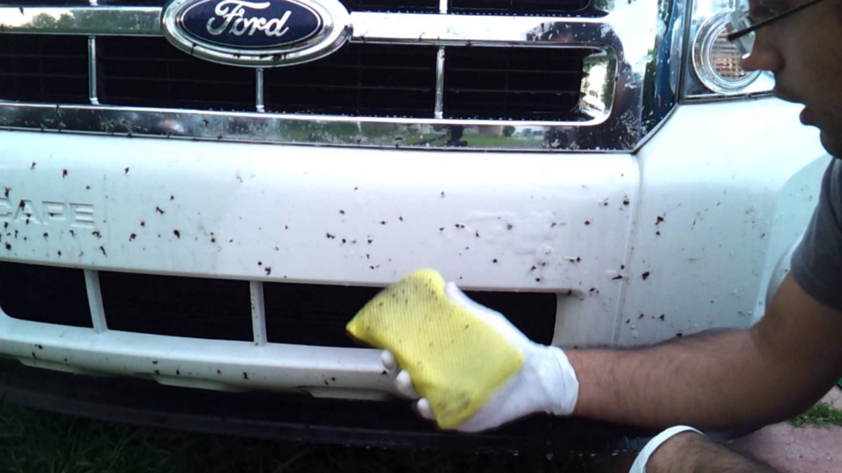 How to Remove Tar From Car Knowdemia