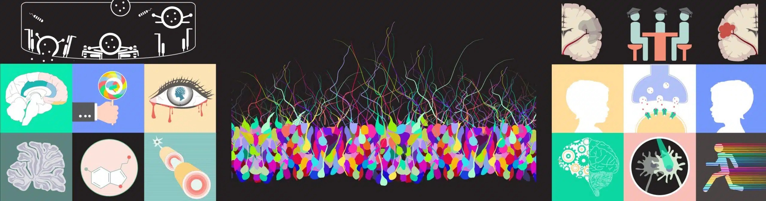 Knowing Neurons- Neuroscience Articles, Infographics, SciArt, Book Reviews, and Videos.