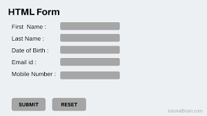 forms in HTML