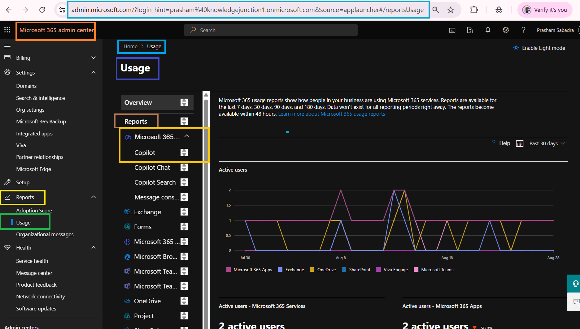 Microsoft Copilot Usage report