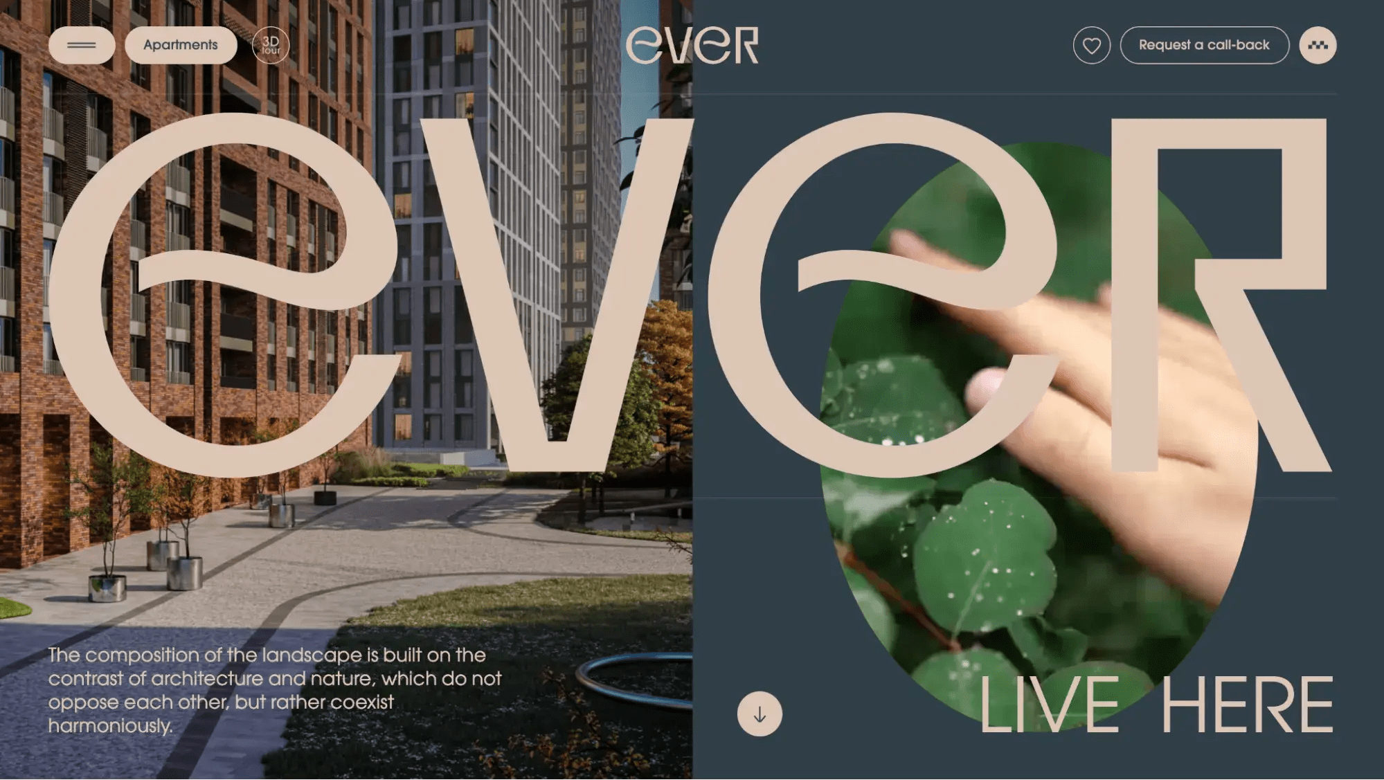 What Is The Best Website For Information?