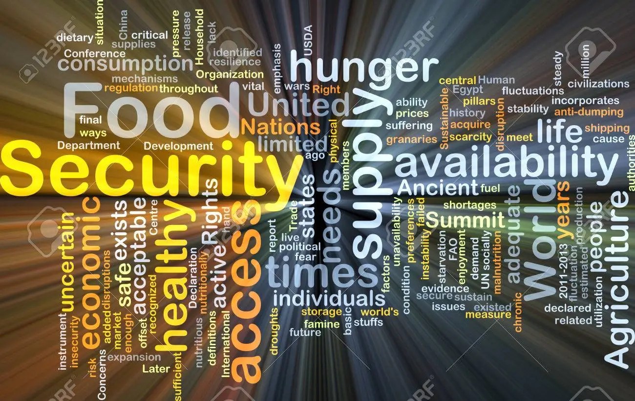 What's the meaning of Food Security? 7 Concept of Food Security