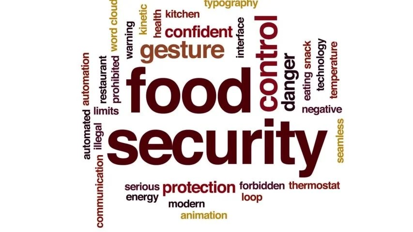 Food Security Information
