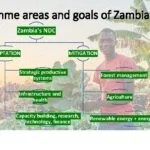 Issues Relating to Aims and Policy Planning in Zambia