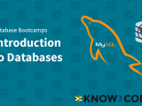 Introduction To Database Know The Code