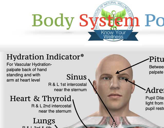 Body System Points Chart Know Your Wellness
