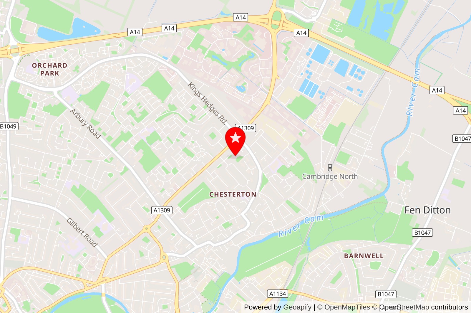5 Best Ant Exterminators Services in Ely, UK: Keeping Your Home Ant-Free