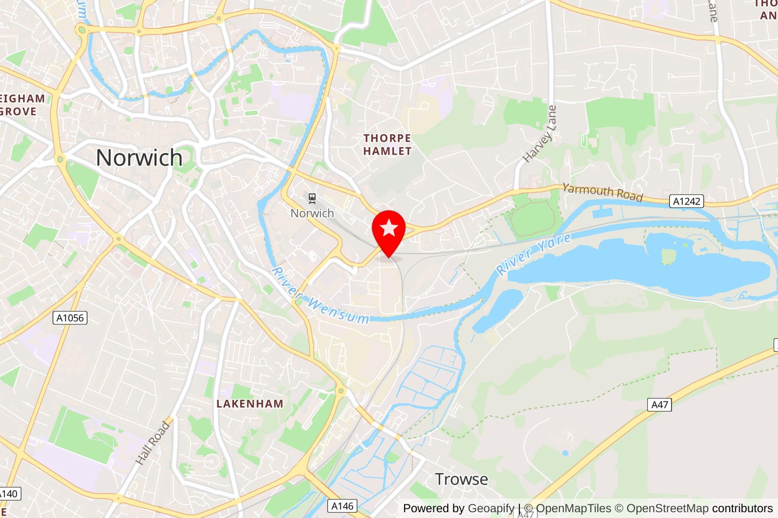 5 Best Pet Grooming Services in Norwich for a Happy, Healthy Pet