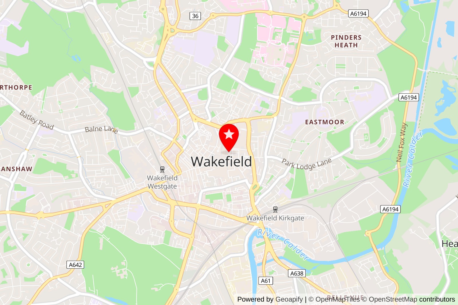 5 Best Cat Grooming Services in Wakefield for Happy and Healthy Felines