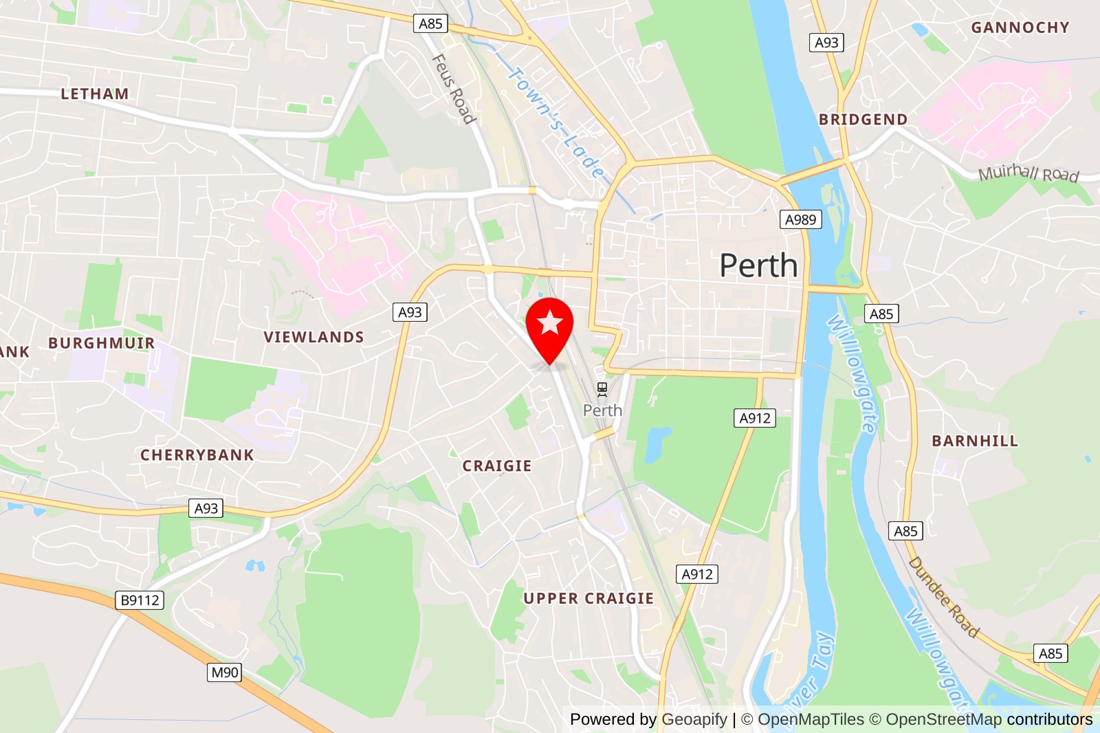 5 Best Cat Grooming Services in Perth: Keeping Your Feline Friends Fluffy and Happy
