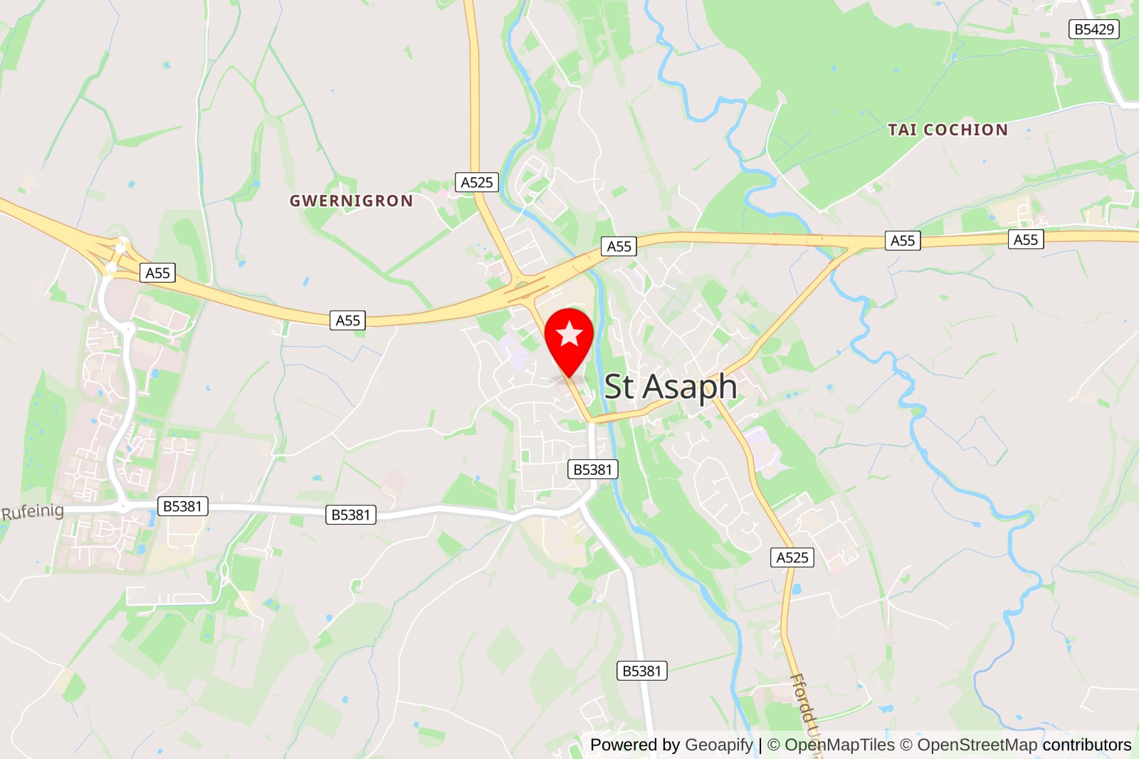 5 Best Cat Grooming Services in St Asaph for Happy and Healthy Felines