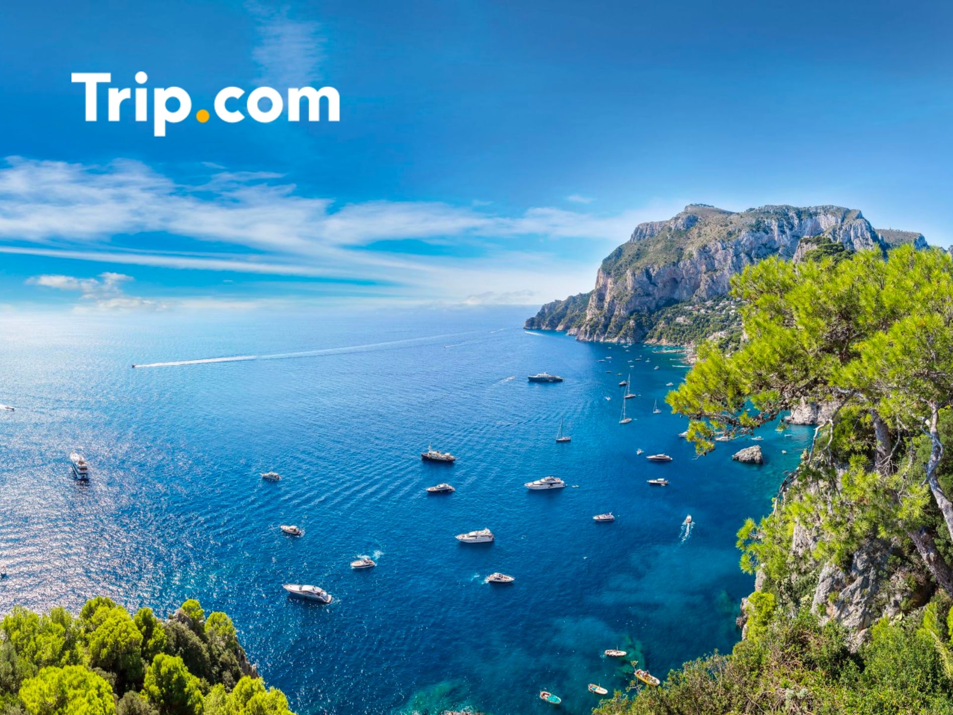 صورة ترويجية للخصومات والعروض المقدمة من Trip Com