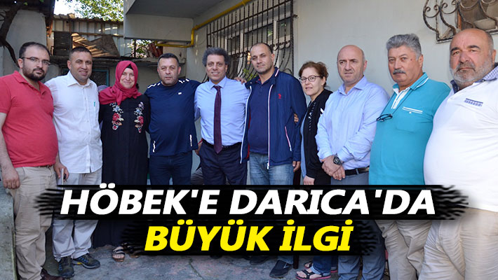 Höbek'e Darıca'da büyük ilgi