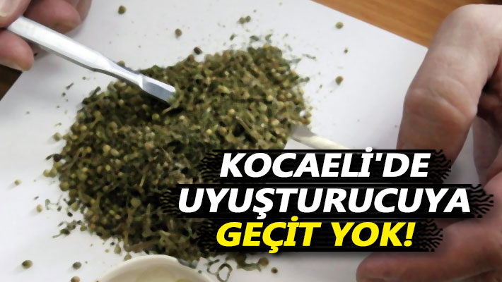 Kocaeli'de uyuşturucuya geçit yok!