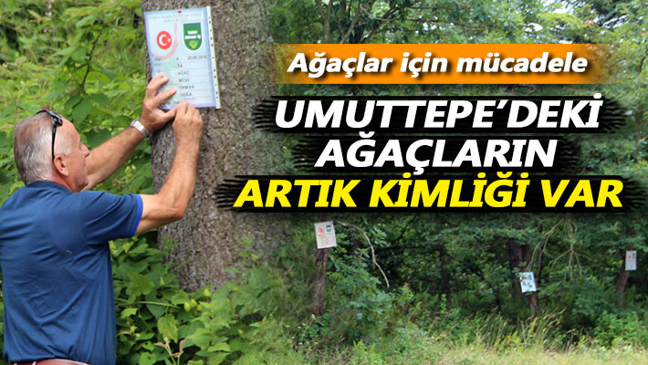 Umuttepe'deki ağaçların artık kimliği var