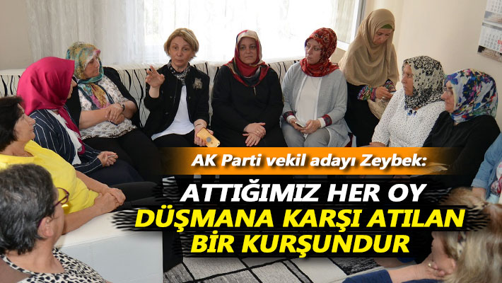 Zeybek: Attığımız her oy düşmana karşı atılan bir kurşundur