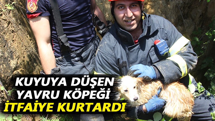 Kuyuya düşen yavru köpeği itfaiye kurtardı