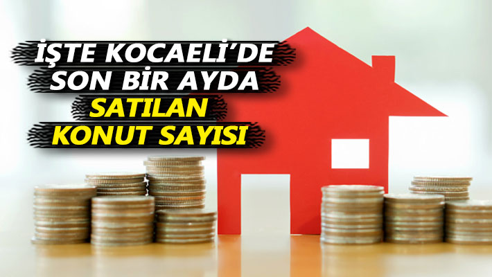 İşte Kocaeli'de son bir ayda satılan konut sayısı