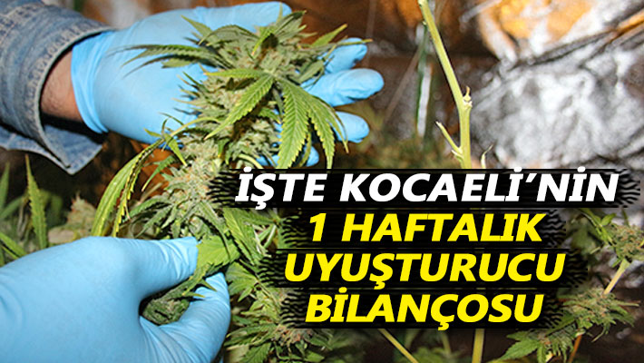 İşte Kocaeli'nin 1 haftalık uyuşturucu bilançosu