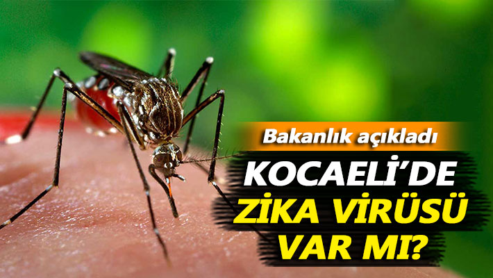 Sağlık Bakanlığı açıkladı: Kocaeli’de zika virüsü var mı?