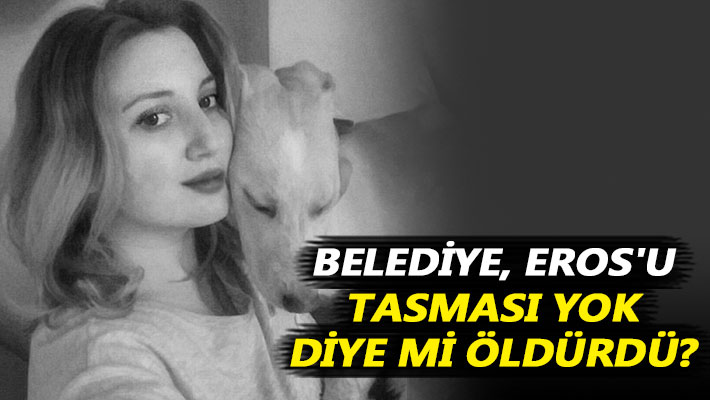 Belediye, Eros'u tasması yok diye mi öldürdü?