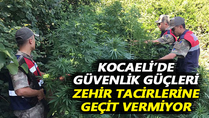 Kocaeli’de güvenlik güçleri zehir tacirlerine geçit vermiyor