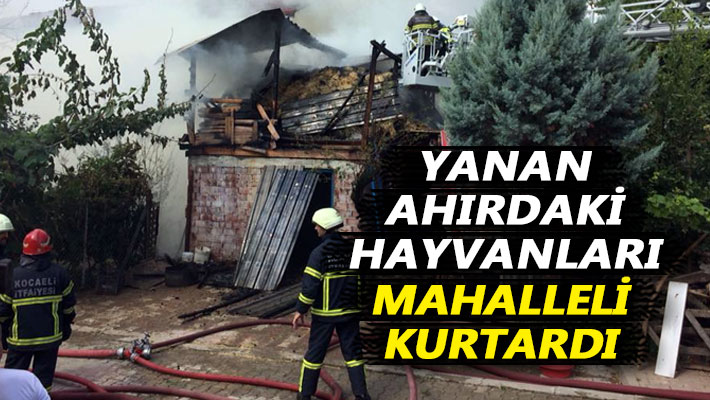 Yanan ahırdaki hayvanları mahalleli kurtardı