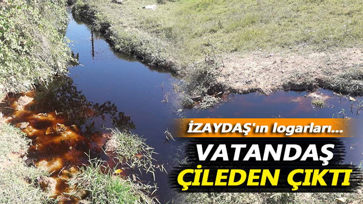 İZAYDAŞ'ın logarları taştı, vatandaş çileden çıktı