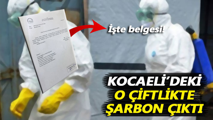 Kocaeli’deki o çiftlikte şarbon çıktı