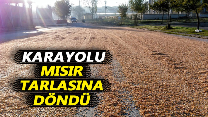 Karayolu mısır tarlasına döndü